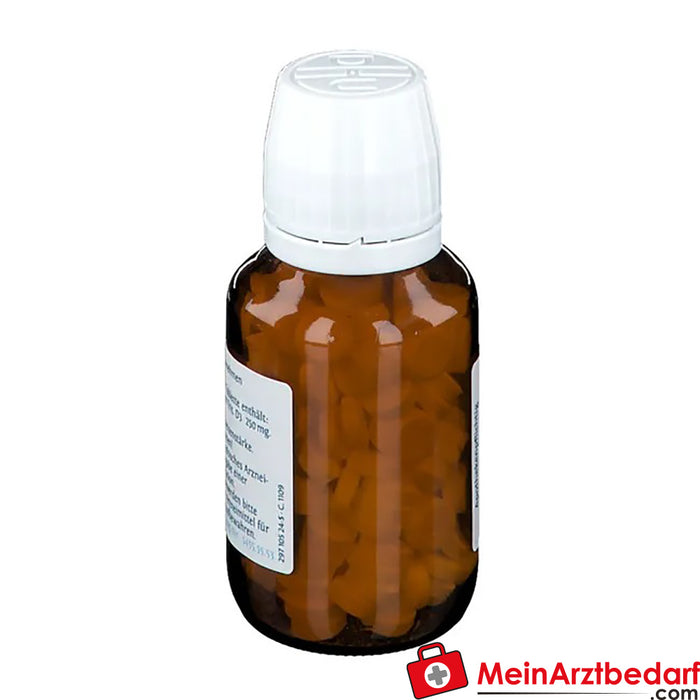 DHU Schuessler Tuz No. 9® Sodyum fosforikum D3