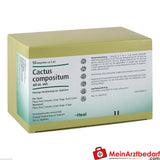 Cactus comp vet 50 St.