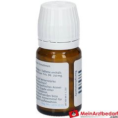 DHU Schüßler-Salz Nr. 2® Calcium phosphoricum D6.