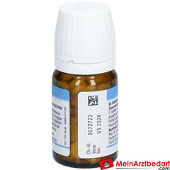 DHU Schüßler-Salz Nr. 2® Calcium phosphoricum D12.