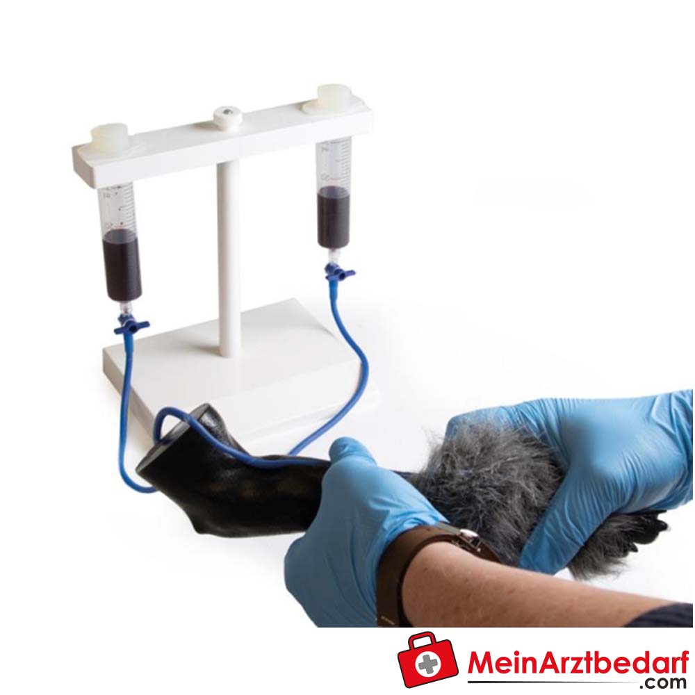 Erler-Zimmer I.V. Injektionsbein Hund.
