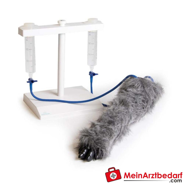 Erler Zimmer I.V. Injection leg dog