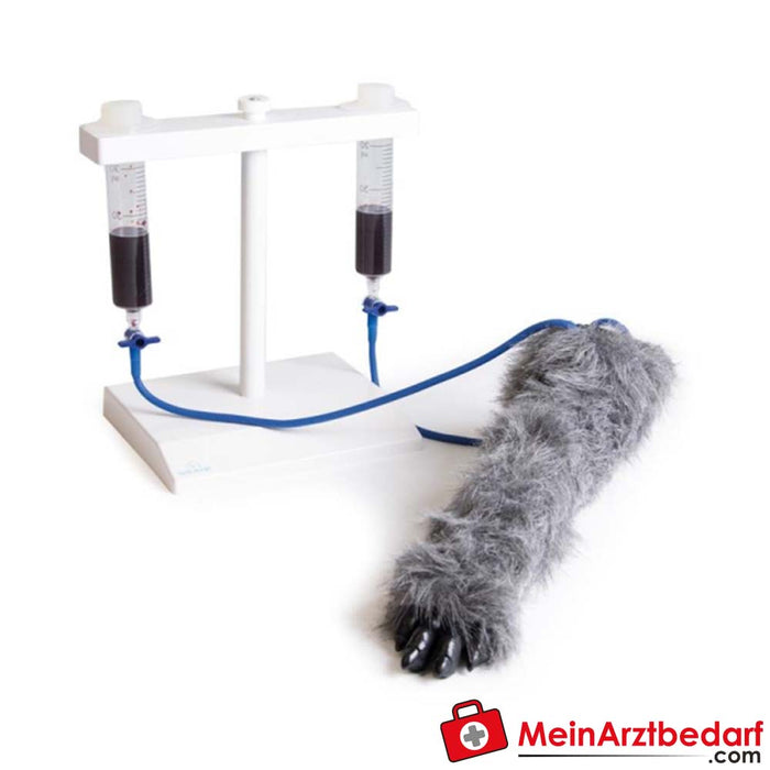 Erler Zimmer I.V. Injection leg dog