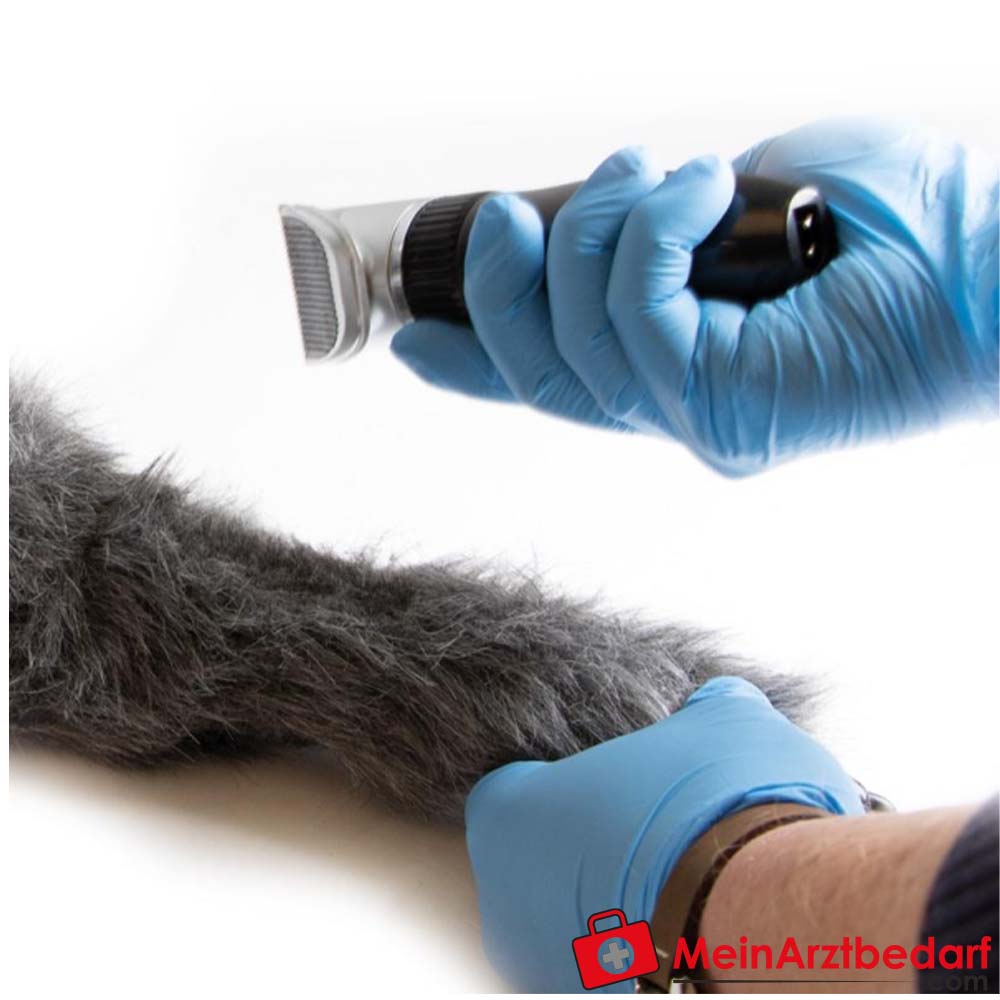 Erler-Zimmer I.V. Injektionsbein Hund.