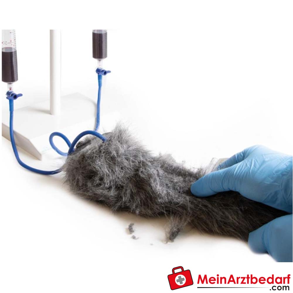 Erler-Zimmer I.V. Injektionsbein Hund.