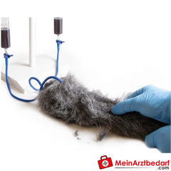 Erler-Zimmer I.V. Injektionsbein Hund.