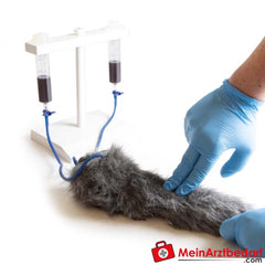 Erler-Zimmer I.V. Injektionsbein Hund.