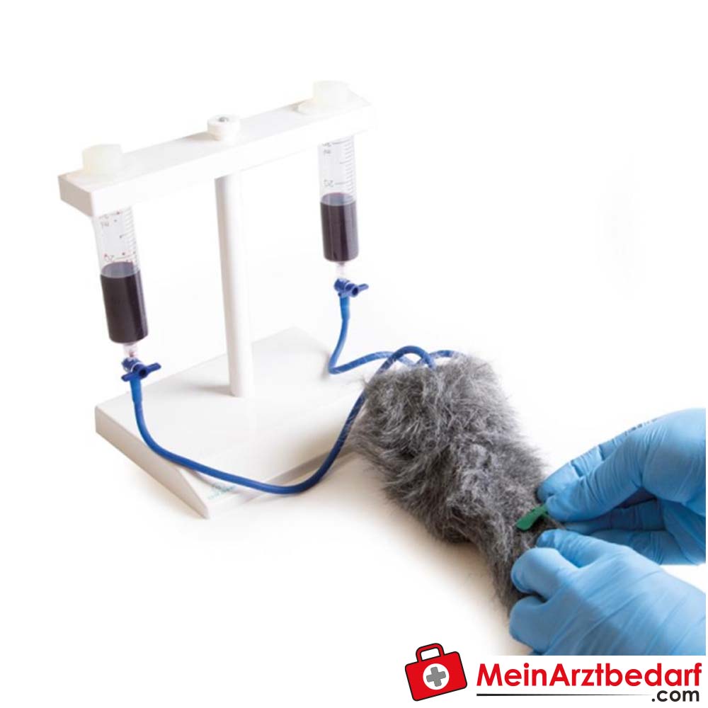 Erler-Zimmer I.V. Injektionsbein Hund.