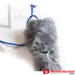 Erler-Zimmer I.V. Injektionsbein Hund.