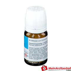 DHU Schüßler-Salz Nr. 10® Natrium sulfuricum D6.