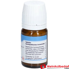 DHU Schüßler-Salz Nr. 11® Silicea D12.