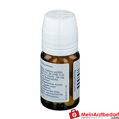 DHU Biochemie 13 Kalium arsenicosum D6.