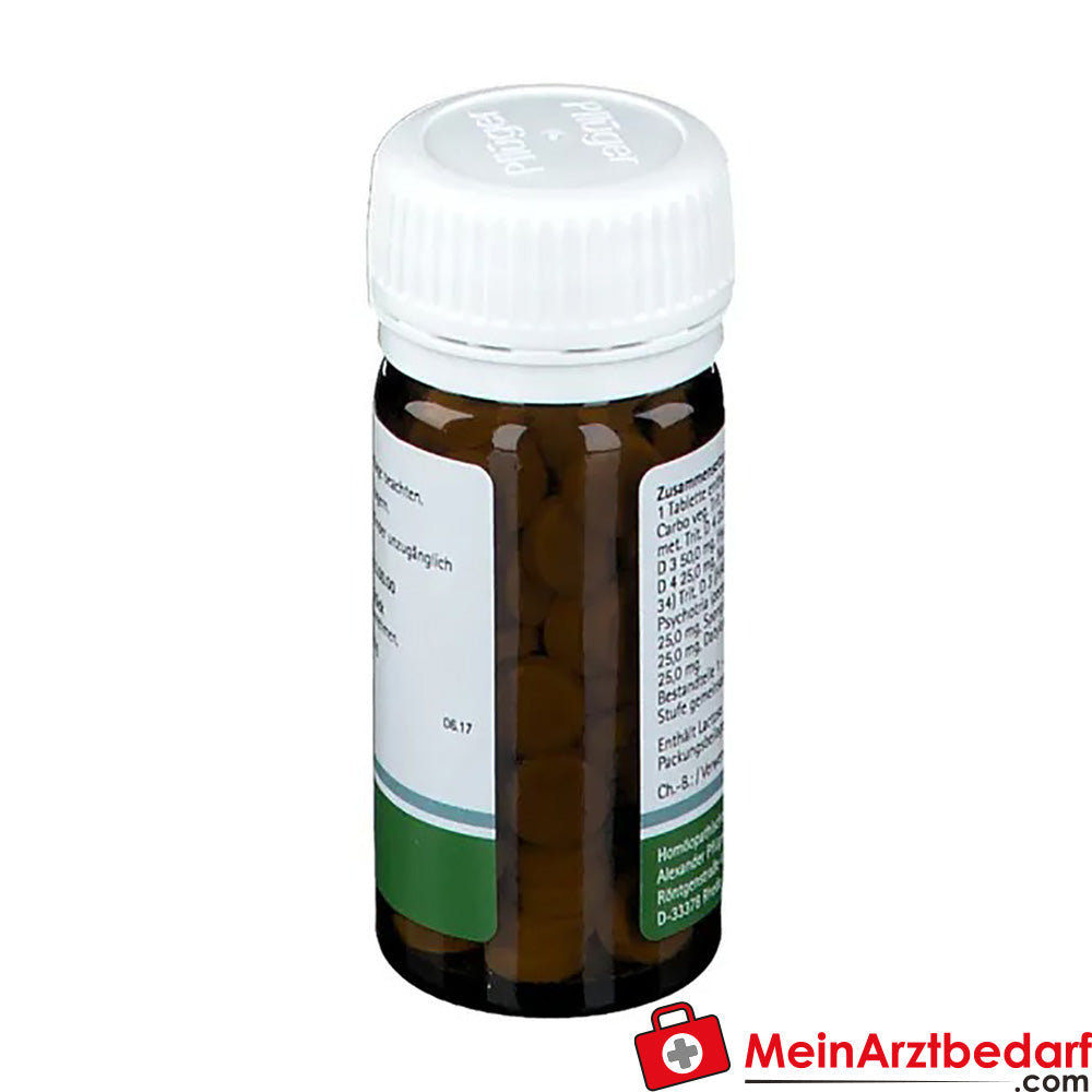 Pflügerplex® Pertussis 320 H.