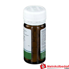 Pflügerplex® Pertussis 320 H.