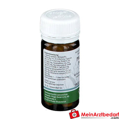 Pflügerplex® Pertussis 320 H.