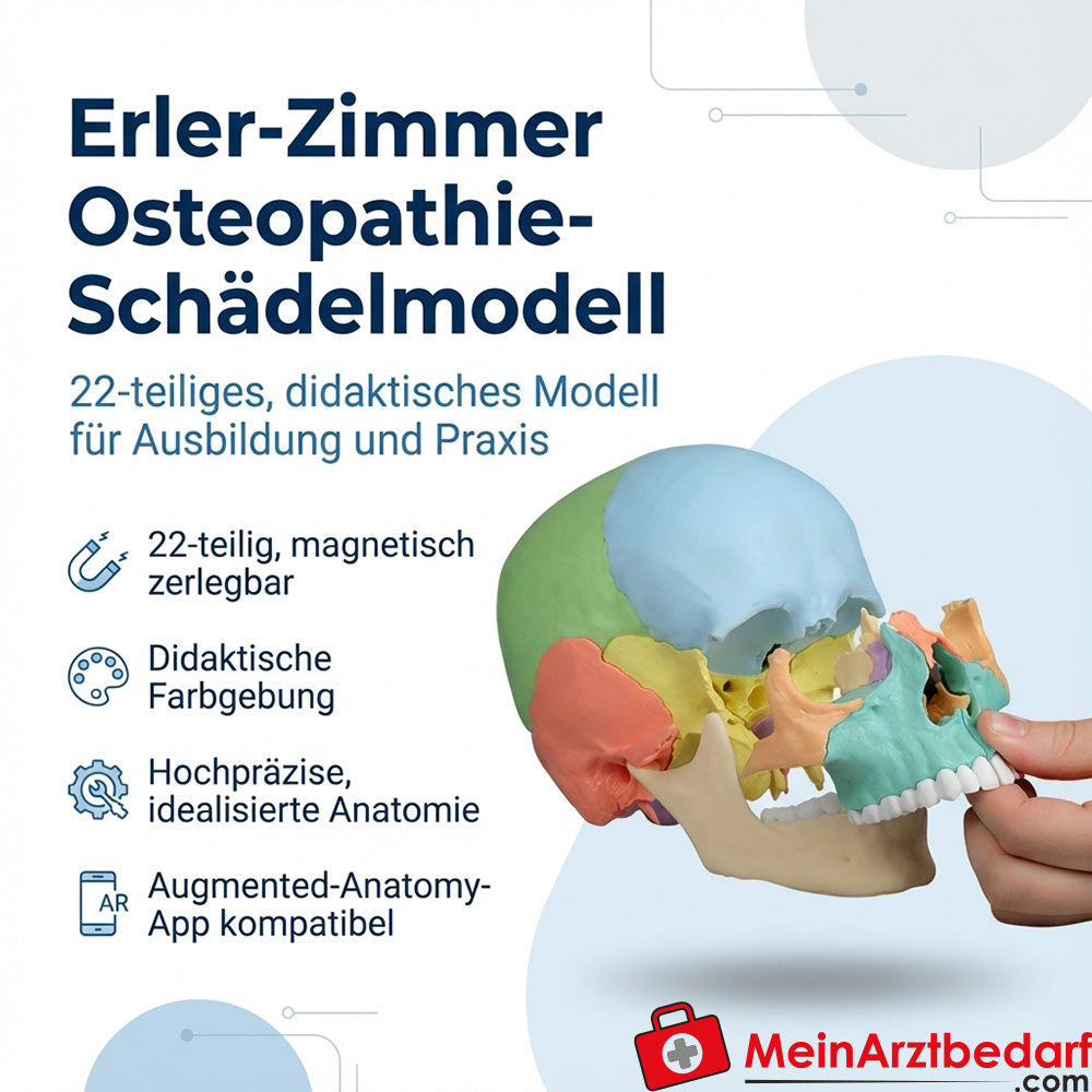Erler-Zimmer Modèle de crâne ostéopathique 22 pièces, couleurs didactiques, démontable magnétiquement EZ Augmented Anatomy