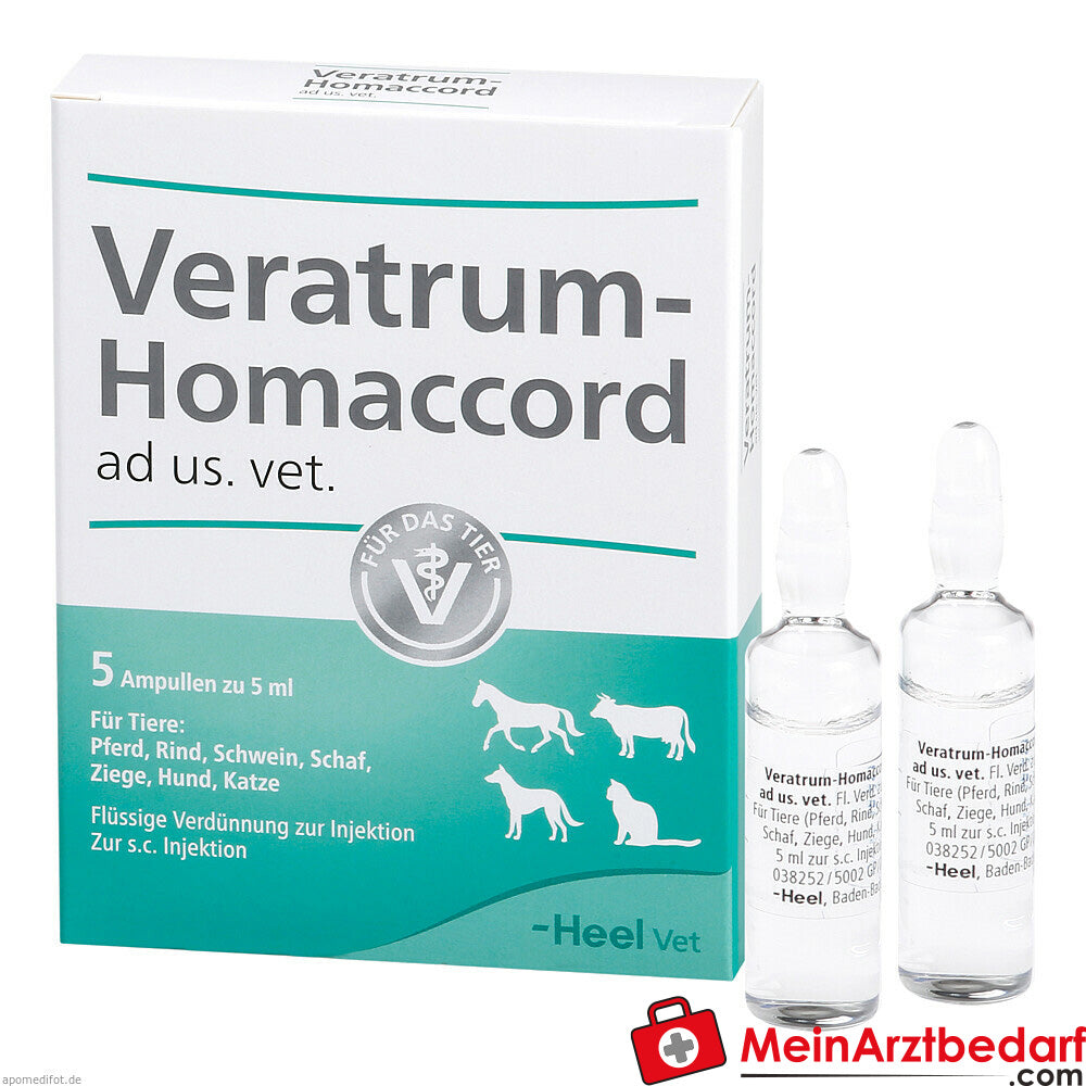 Veratrum homaccord vet 5 St