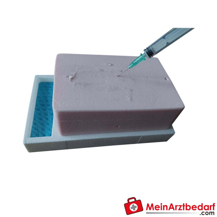 Simulador del plano fascial de Erler Zimmer