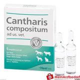 Cantharis comp vet, 5 szt.