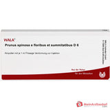 WALA Prunus spinosa aux fleurs et aux sommets D6 Ampoules, 10 x 1 ml