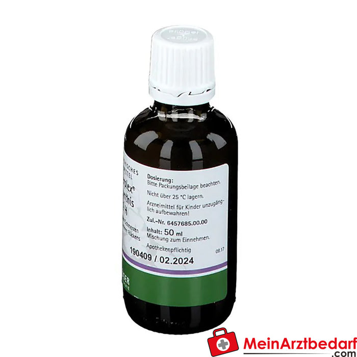 Pflügerplex® Colocynthis 192 H