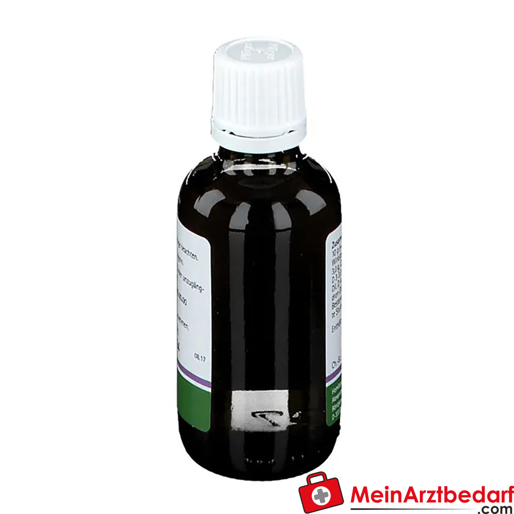 Pflügerplex® Colocynthis 192 H.