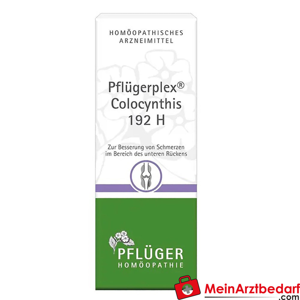 Pflügerplex® Colocynthis 192 H.