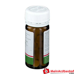 Pflügerplex® Apisinum 360.