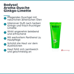Bodysol Aroma-Dusche Ginkgo-Limette Duschgel mit Panthenol / Ginkgo-Extrakt, 250 ml.