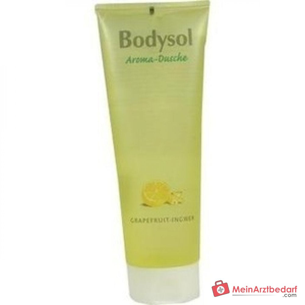 Bodysol Aroma-Dusche Grapefruit-Ingwer Duschgel mit Panthenol, 250 ml.