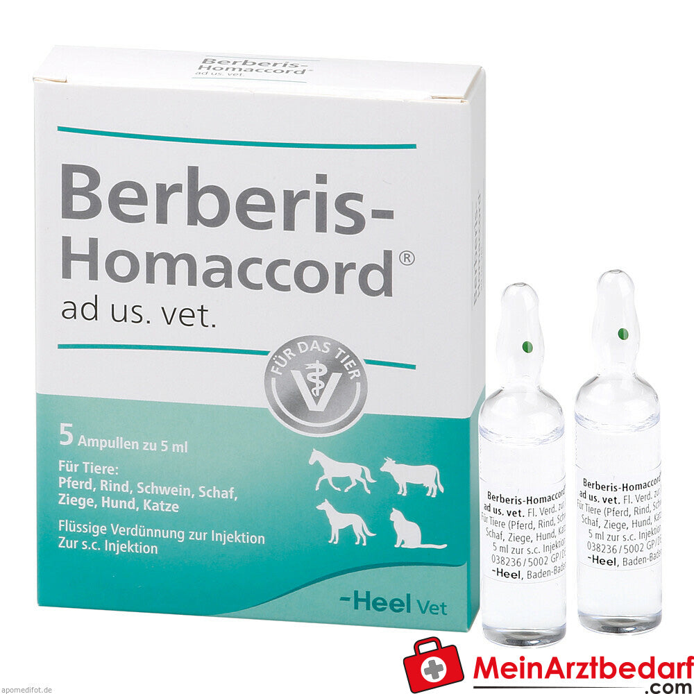 Berberis homaccord wet 5 x 5 ml