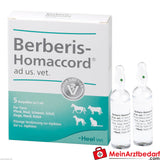 Berberis homaccord wet 5 x 5 ml