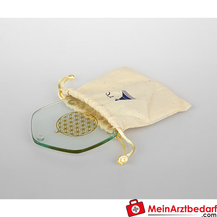 Plaque Berk Golden Voyager en sachet 9 cm