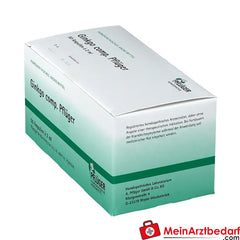 Ginkgo comp. Pflüger.