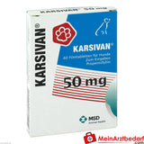 Karsivan 50 vet, 60 St