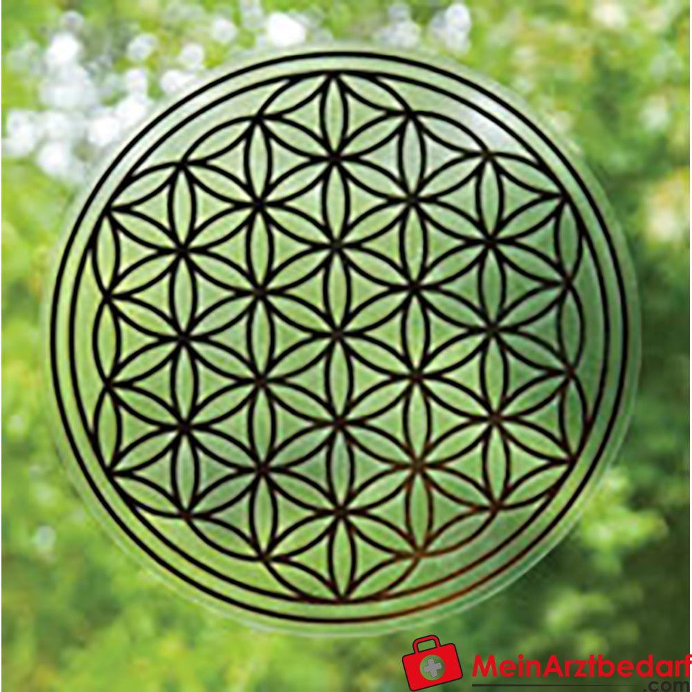 Berk Blume des Lebens.