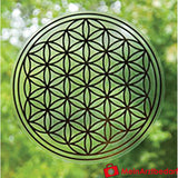 Berk Blume des Lebens.