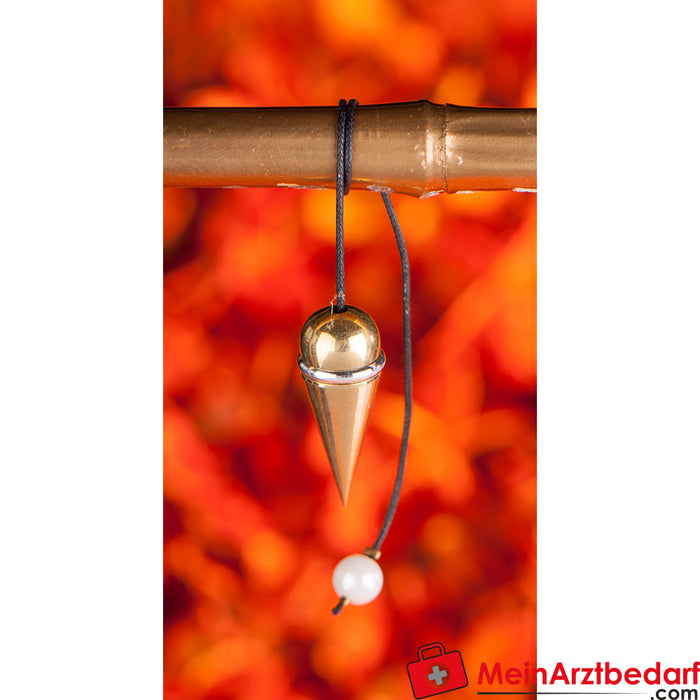 Berk screw pendulum, polished brass