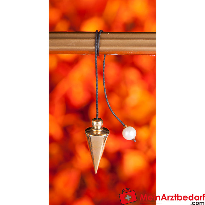 Berk screw pendulum, polished brass