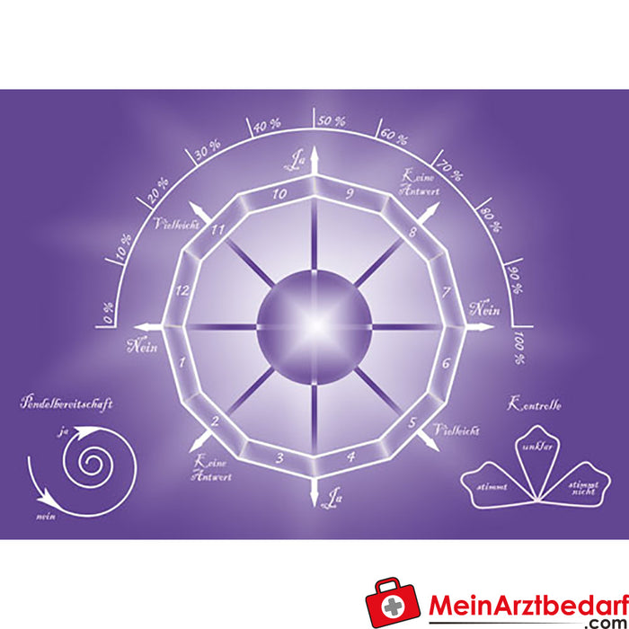 Berk pendulum map