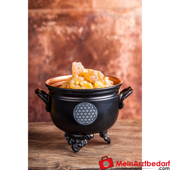 Berk Caldron incense burner