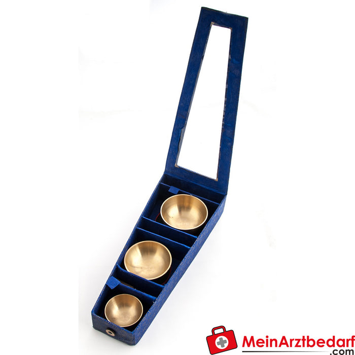 Set di 3 ciotole da canto Berk in scatola blu