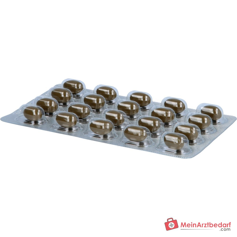 SabalUNO Extracto de sabal 320 mg cápsulas blandas 120 unidades