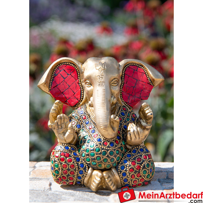 Berk Ganesh with stones