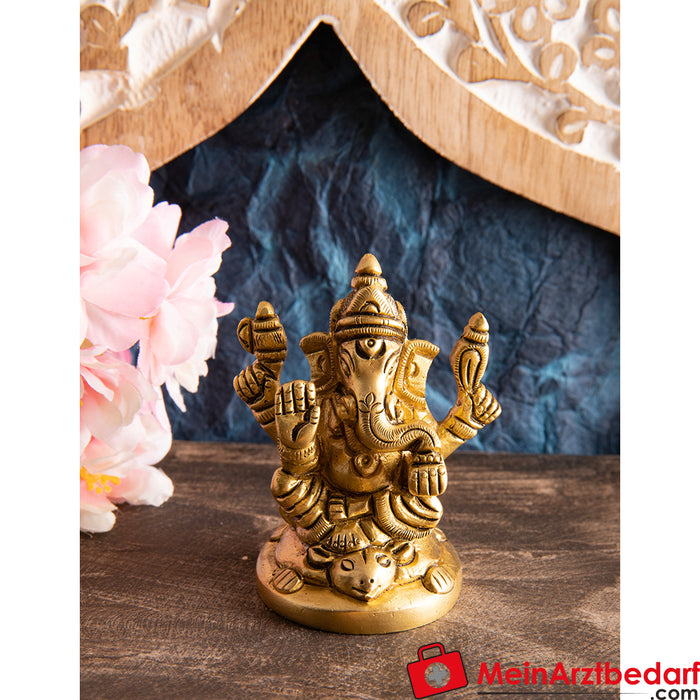 Berk Ganesh with mouse