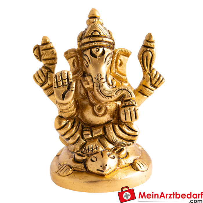 Berk Ganesh with mouse