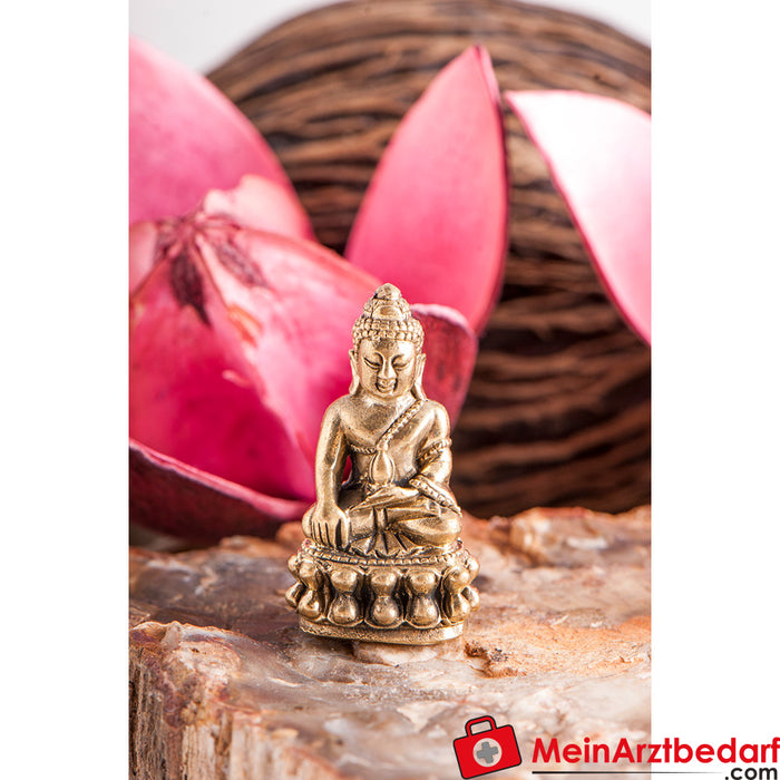 Berk Figurine miniature Bouddha de la médecine