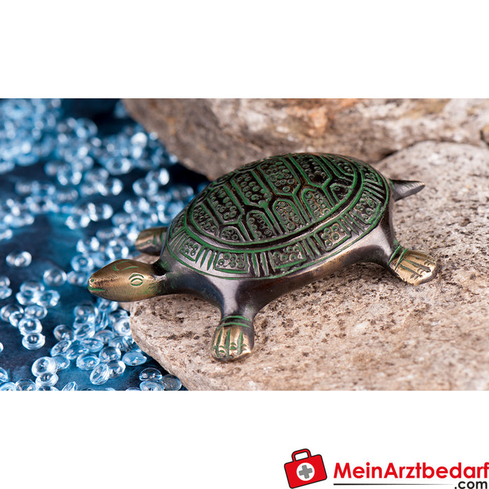 Berk turtle small, 10.5 cm