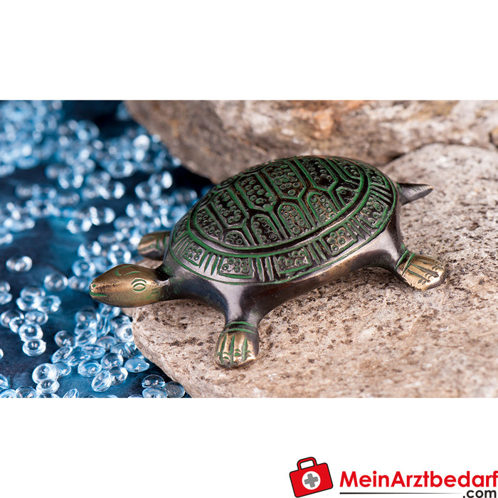 Berk Schildkröte klein, 10,5 cm