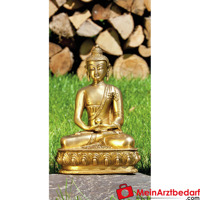 Buddha Amithaba di Berk, ottone, circa 20 cm